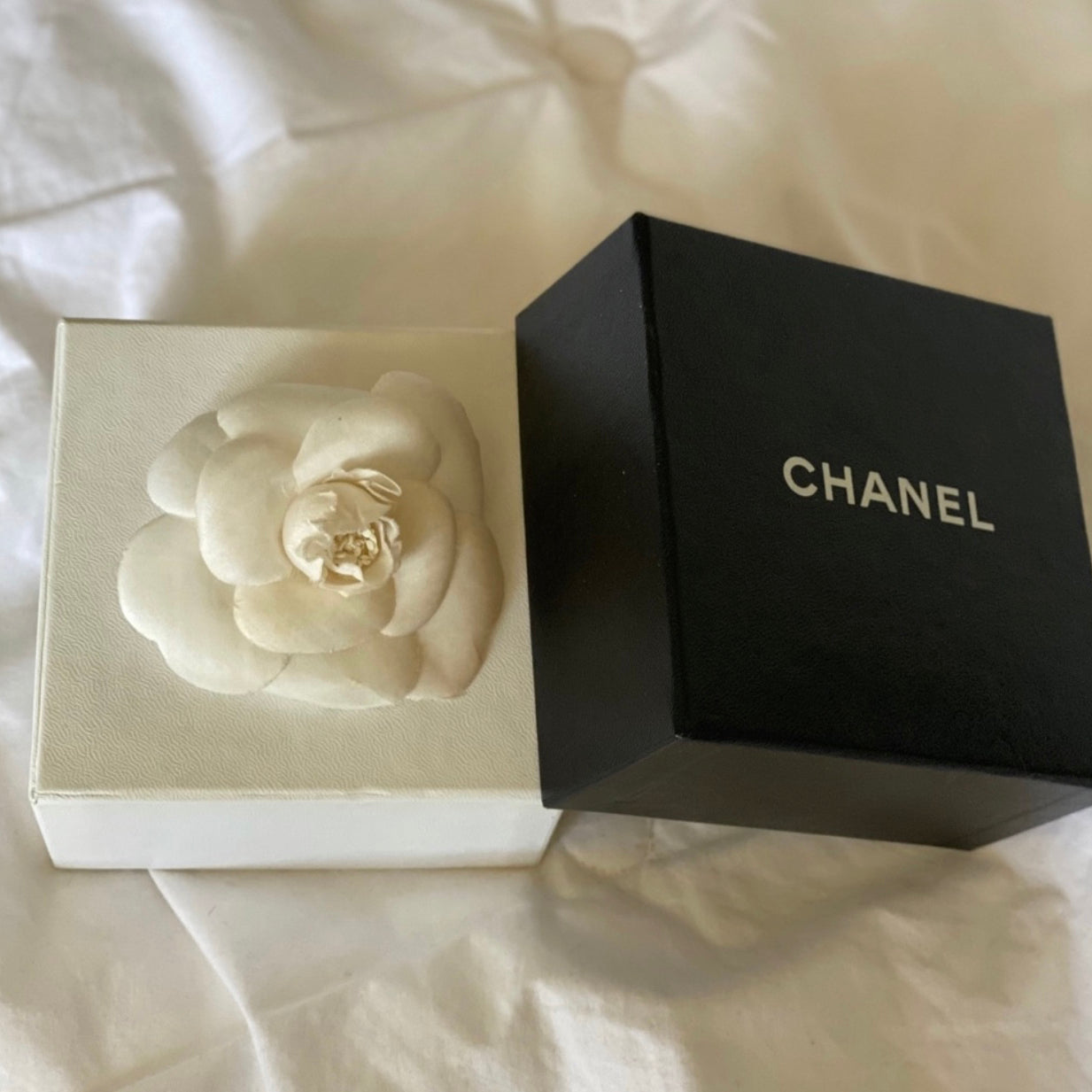 Chanel Camellia Brooch Art Print